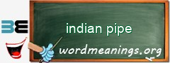 WordMeaning blackboard for indian pipe